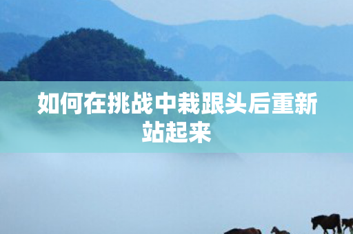 如何在挑战中栽跟头后重新站起来