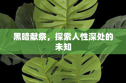 黑暗献祭，探索人性深处的未知
