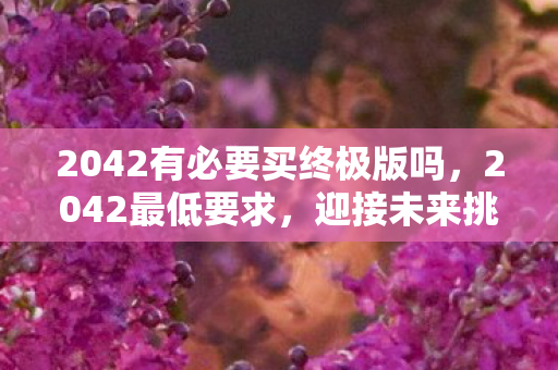 2042有必要买终极版吗，2042最低要求，迎接未来挑战，重塑自我