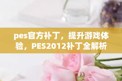 pes官方补丁，提升游戏体验，PES2012补丁全解析