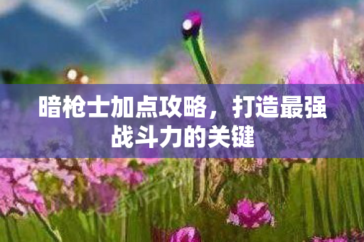 暗枪士加点攻略，打造最强战斗力的关键