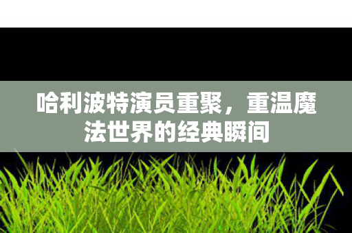 哈利波特演员重聚，重温魔法世界的经典瞬间