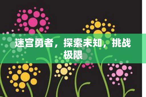 迷宫勇者,探索未知,挑战极限 迷宫勇者,探索未知,挑战极限