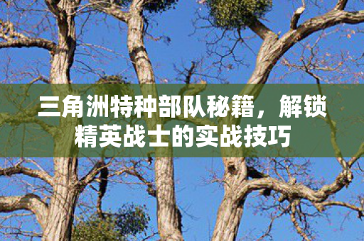 三角洲特种部队秘籍，解锁精英战士的实战技巧