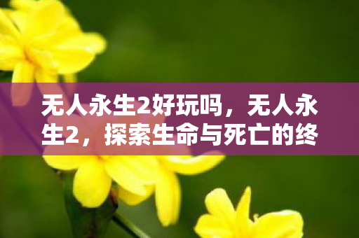 无人永生2好玩吗，无人永生2，探索生命与死亡的终极哲学