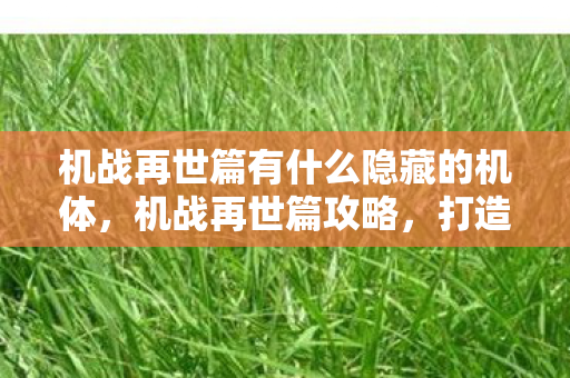 机战再世篇有什么隐藏的机体，机战再世篇攻略，打造无敌战斗阵容，征服星际战场！