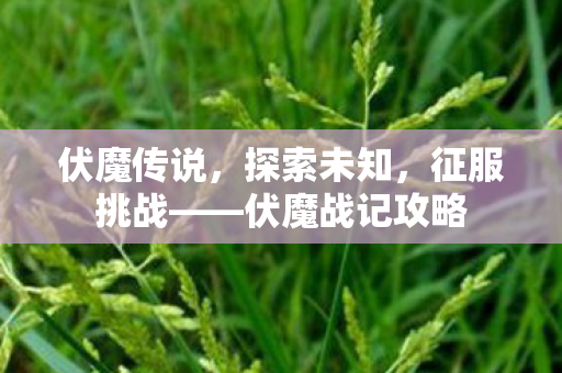 伏魔传说，探索未知，征服挑战——伏魔战记攻略