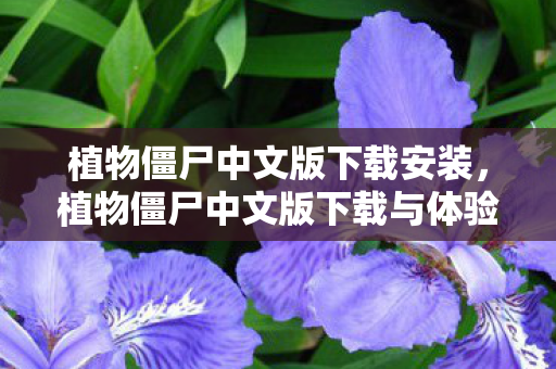 植物僵尸中文版下载安装，植物僵尸中文版下载与体验指南