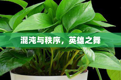 混沌与秩序，英雄之舞
