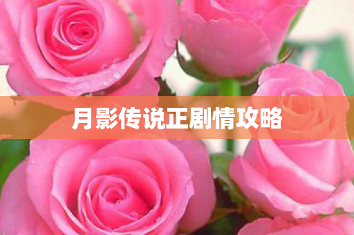 月影传说正剧情攻略