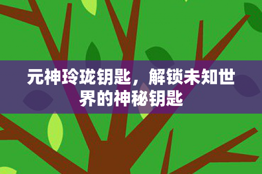 元神玲珑钥匙,解锁未知世界的神秘钥匙 元神玲珑钥匙,解锁未知世界的神秘钥匙