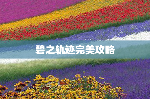 碧之轨迹完美攻略