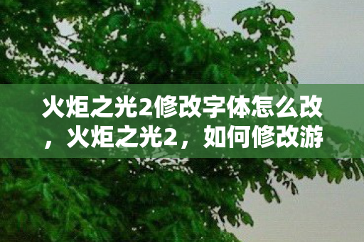 火炬之光2修改字体怎么改，火炬之光2，如何修改游戏字体