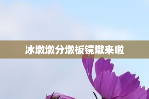 冰墩墩分墩板镜墩来啦 冰墩墩分墩板镜墩来啦