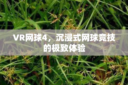 VR网球4,沉浸式网球竞技的极致体验 VR网球4,沉浸式网球竞技的极致体验