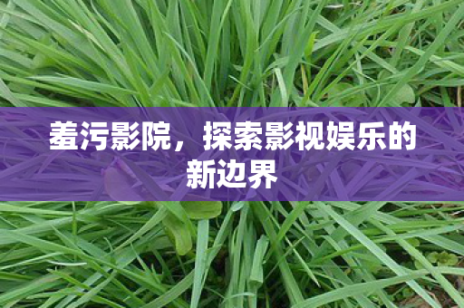 羞污影院,探索影视娱乐的新边界 羞污影院,探索影视娱乐的新边界