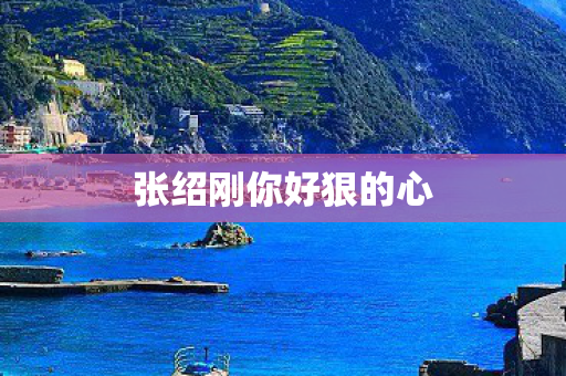 张绍刚你好狠的心