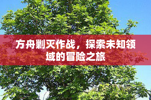 方舟剿灭作战，探索未知领域的冒险之旅
