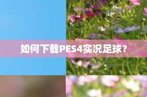 如何下载PES4实况足球? 如何下载PES4实况足球?