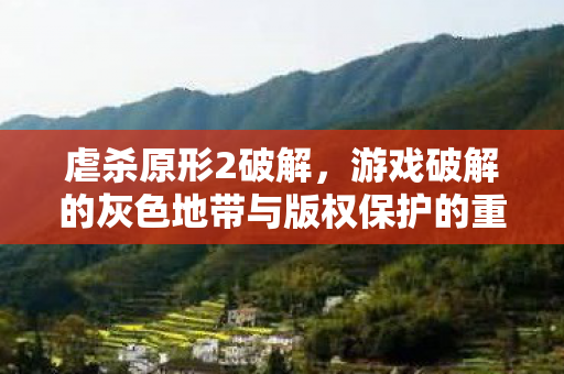 虐杀原形2破解，游戏破解的灰色地带与版权保护的重要性