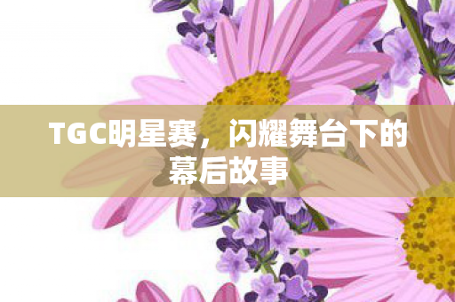 TGC明星赛,闪耀舞台下的幕后故事 TGC明星赛,闪耀舞台下的幕后故事