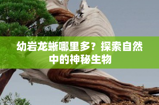 幼岩龙蜥哪里多？探索自然中的神秘生物