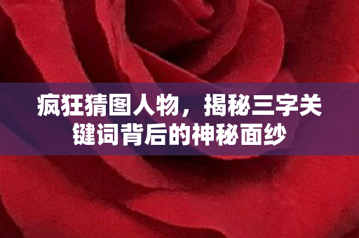 疯狂猜图人物，揭秘三字关键词背后的神秘面纱