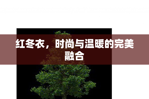 红冬衣，时尚与温暖的完美融合