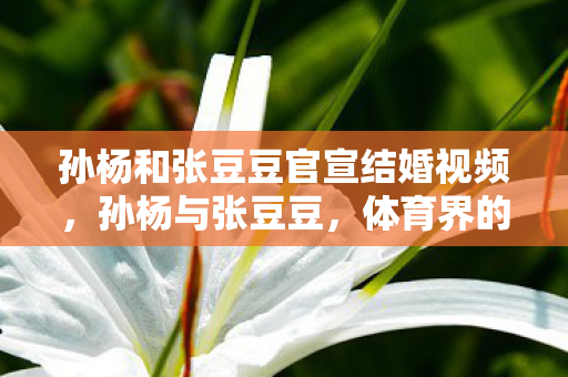 孙杨和张豆豆官宣结婚视频，孙杨与张豆豆，体育界的甜蜜官宣