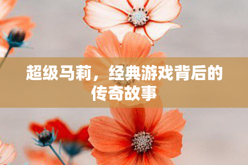 超级马莉，经典游戏背后的传奇故事