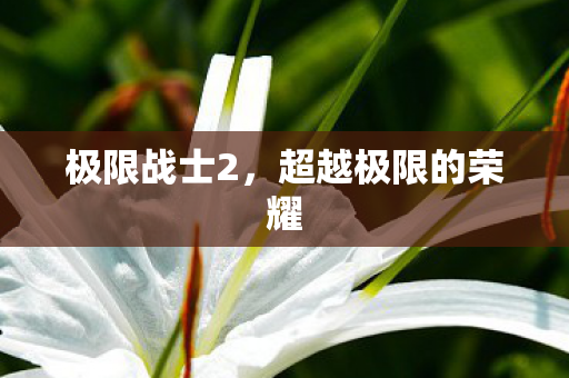 极限战士2，超越极限的荣耀