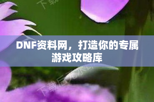 DNF资料网，打造你的专属游戏攻略库