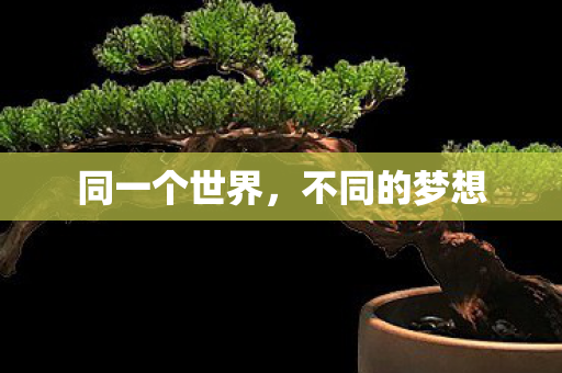 同一个世界，不同的梦想