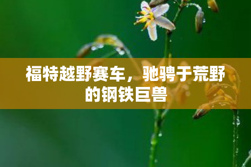 福特越野赛车，驰骋于荒野的钢铁巨兽