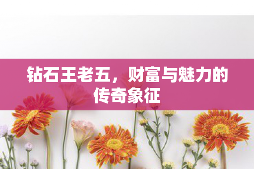 钻石王老五，财富与魅力的传奇象征