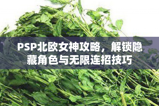 PSP北欧女神攻略，解锁隐藏角色与无限连招技巧