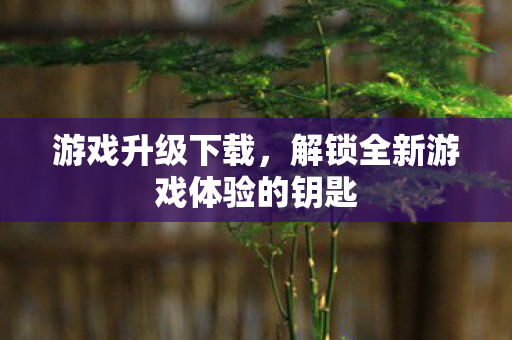 游戏升级下载，解锁全新游戏体验的钥匙