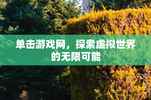 单击游戏网，探索虚拟世界的无限可能