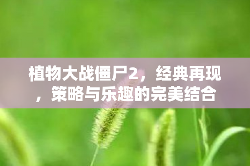 植物大战僵尸2，经典再现，策略与乐趣的完美结合