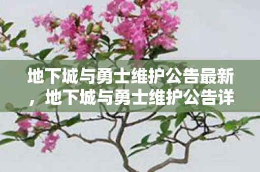 地下城与勇士维护公告最新，地下城与勇士维护公告详解，保障游戏稳定与玩家体验