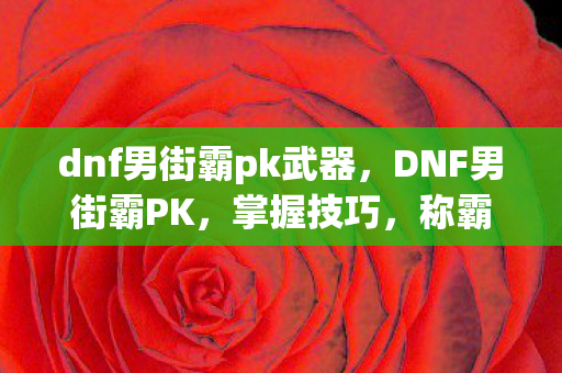 dnf男街霸pk武器，DNF男街霸PK，掌握技巧，称霸竞技场