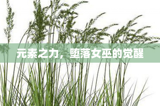 元素之力，堕落女巫的觉醒