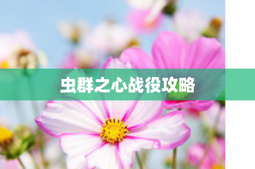 虫群之心战役攻略