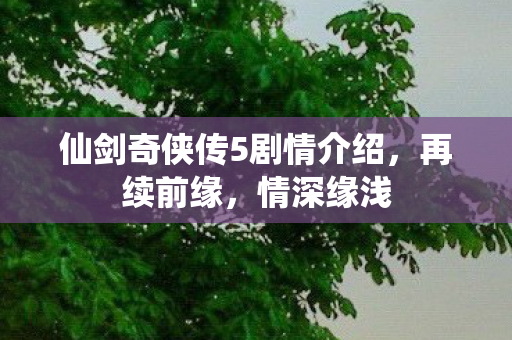 仙剑奇侠传5剧情介绍，再续前缘，情深缘浅