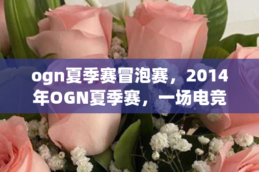 ogn夏季赛冒泡赛，2014年OGN夏季赛，一场电竞盛宴的回顾与解析