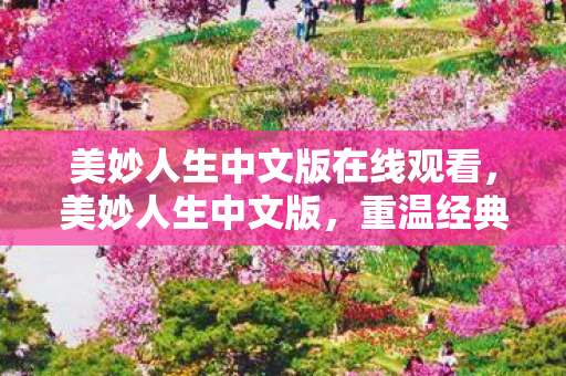 美妙人生中文版在线观看，美妙人生中文版，重温经典，感受浪漫