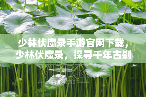 少林伏魔录手游官网下载，少林伏魔录，探寻千年古刹的传奇故事
