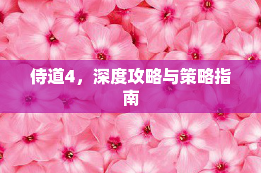 侍道4，深度攻略与策略指南