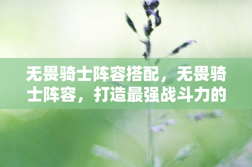 无畏骑士阵容搭配，无畏骑士阵容，打造最强战斗力的组合