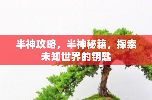 半神攻略，半神秘籍，探索未知世界的钥匙